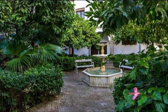 Apartamento En Un Dormitorio En Plaza Alfaro Siviglia Esterno foto