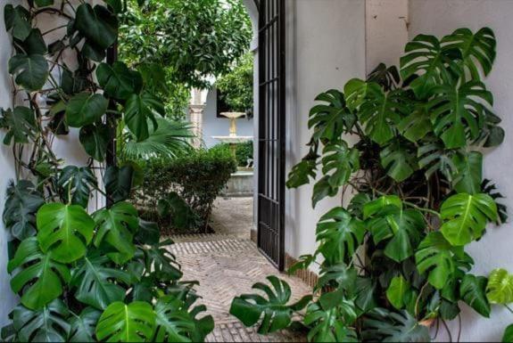 Apartamento En Un Dormitorio En Plaza Alfaro Siviglia Esterno foto